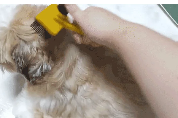반려동물 죽은 털관리 원터치 털제거 그루밍 펫브러쉬 상세4