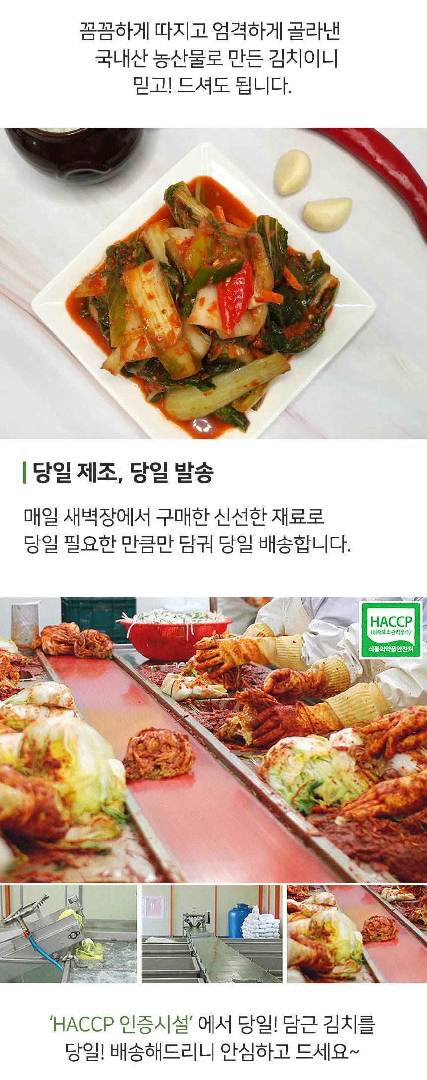 당일제조 전라도 대감 얼갈이김치 5kg (100% 국산재료) 상세4