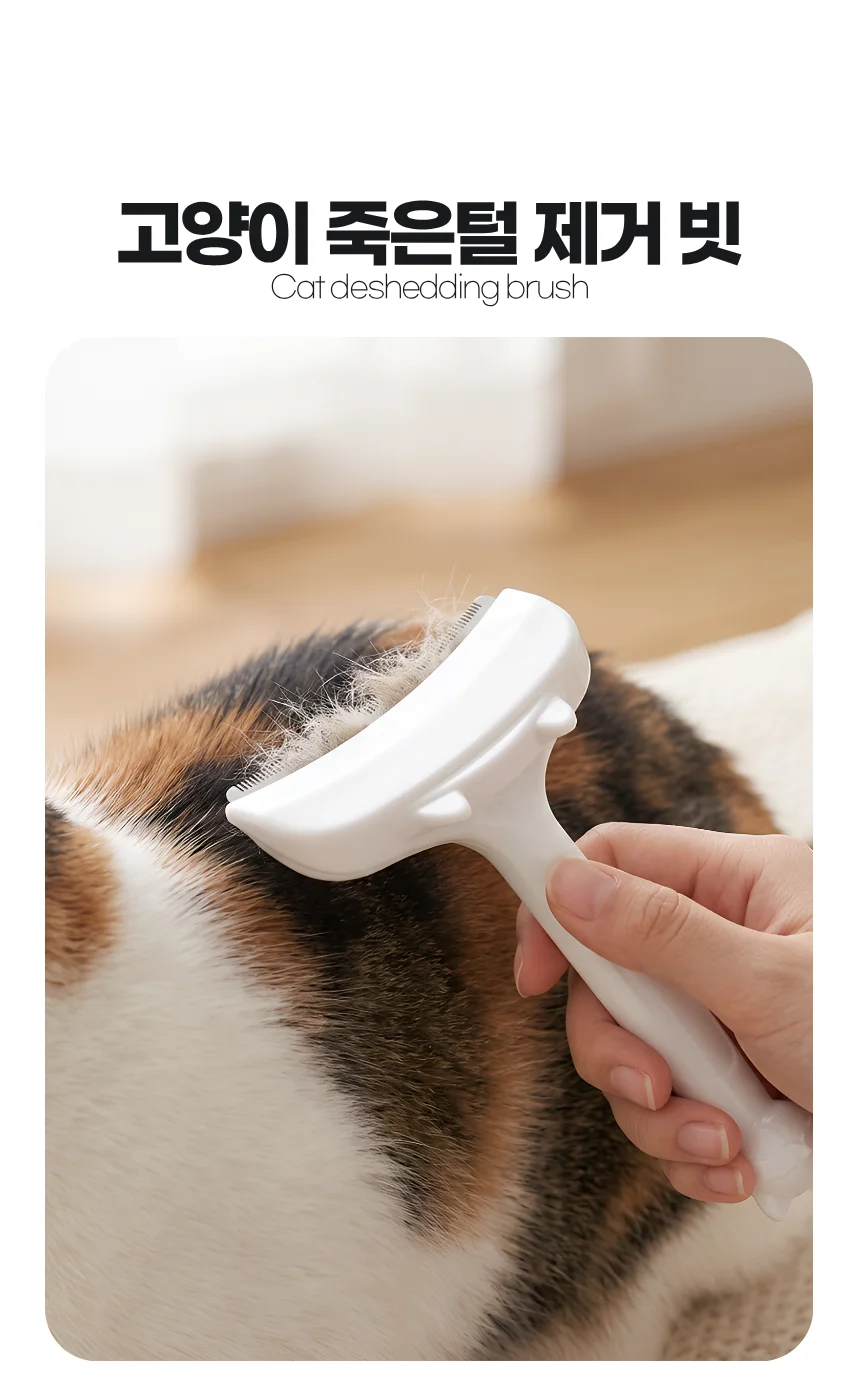 안고양이 빗 강아지 털빠짐 그루밍 죽은털 엉킨털 제거 브러쉬 상세2