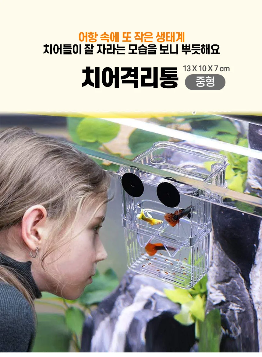 치어 격리통(중형) 상세1