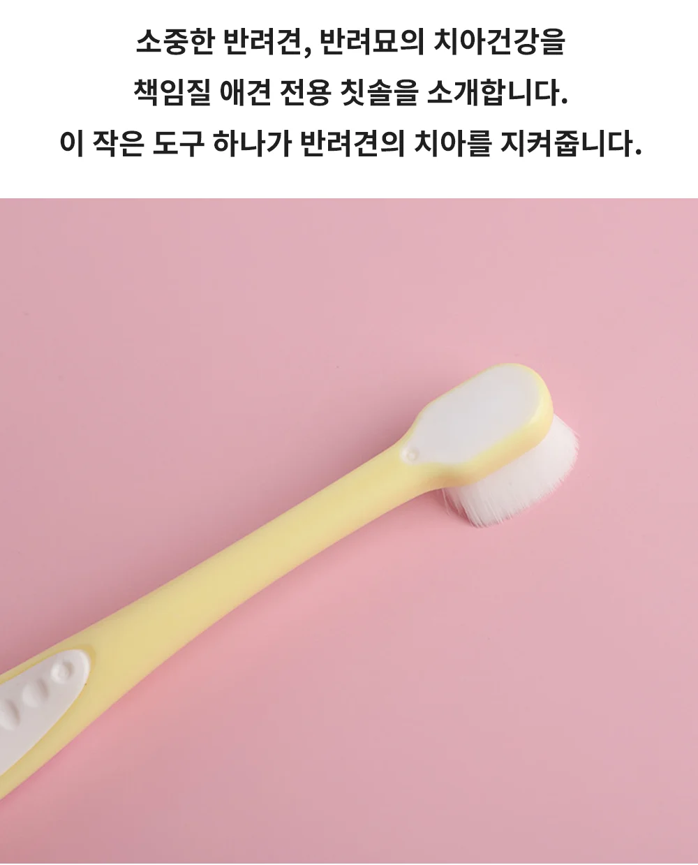 셀링온 강아지칫솔 상세2