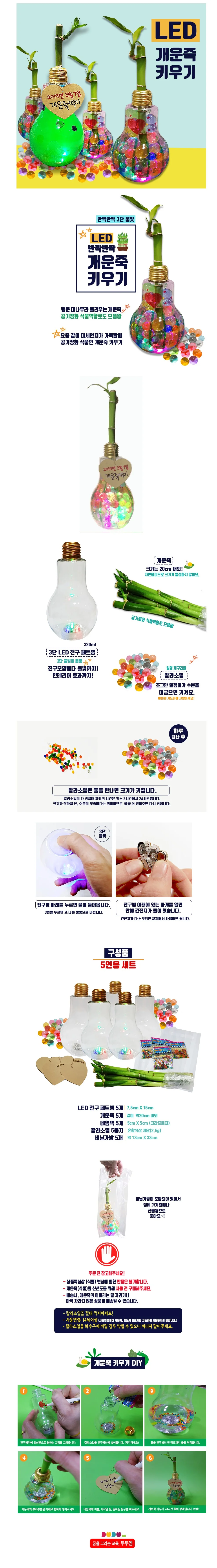 두두엠 LED 반짝반짝 개운죽 키우기 5인세트 상세1