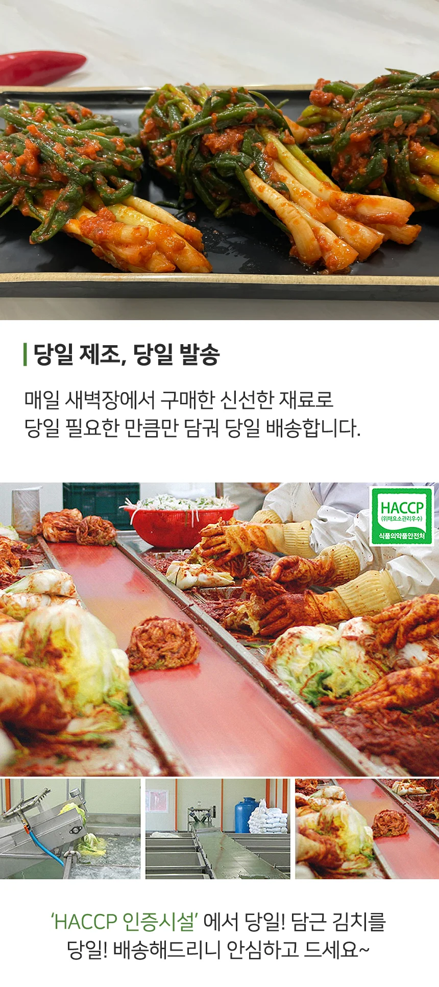 당일제조 전라도 매운 파김치 1kg (100% 국산재료) 상세4