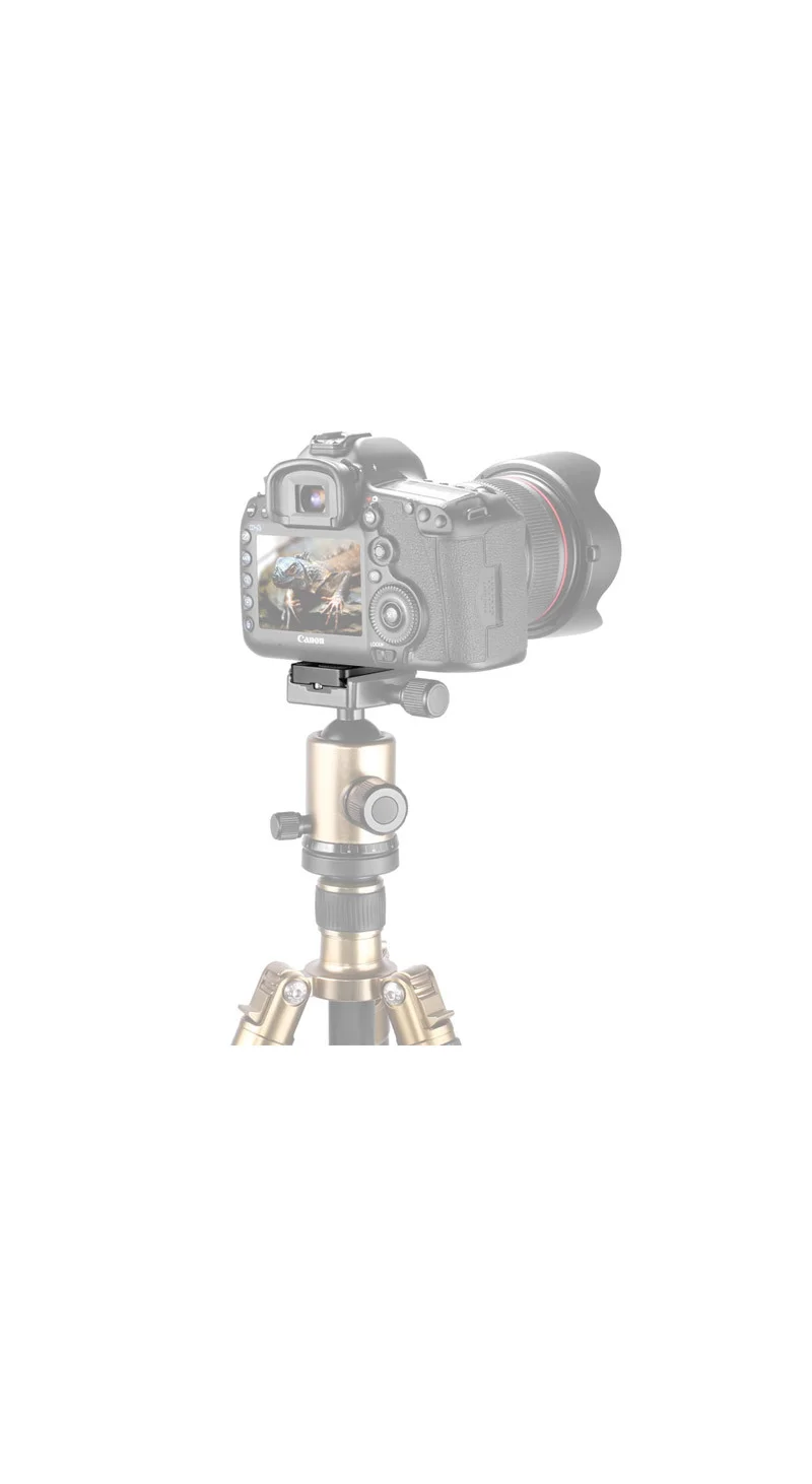 DSLR 카메라 도브테일 플레이트 퀵릴리스 브 상세5