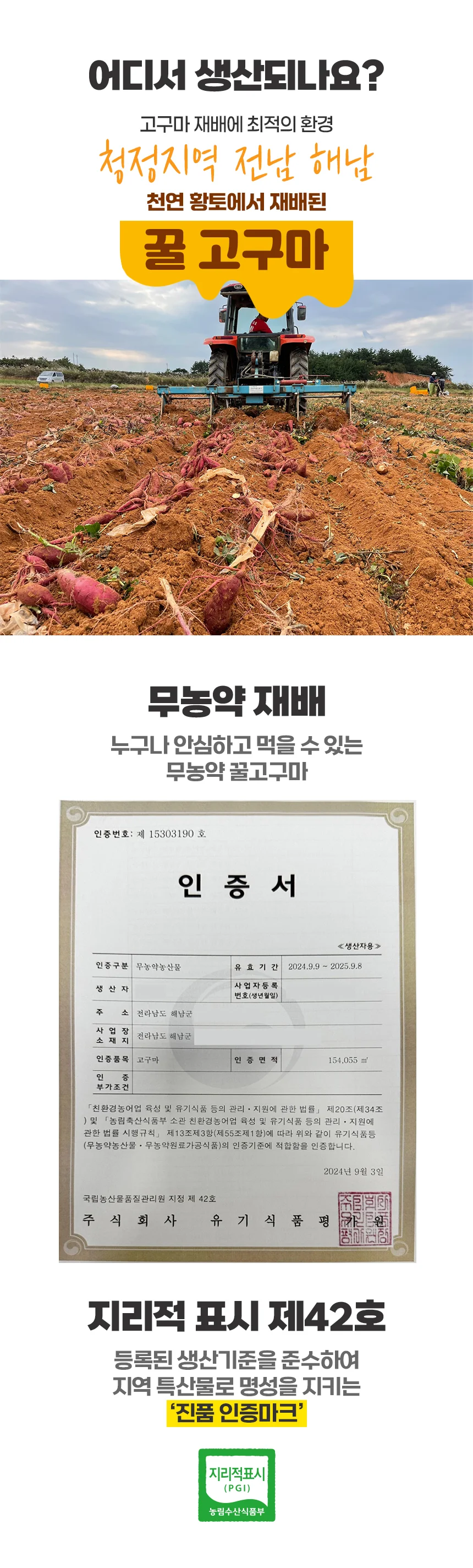 해남 고압살균 세척 고구마 3kg (중상) 상세5