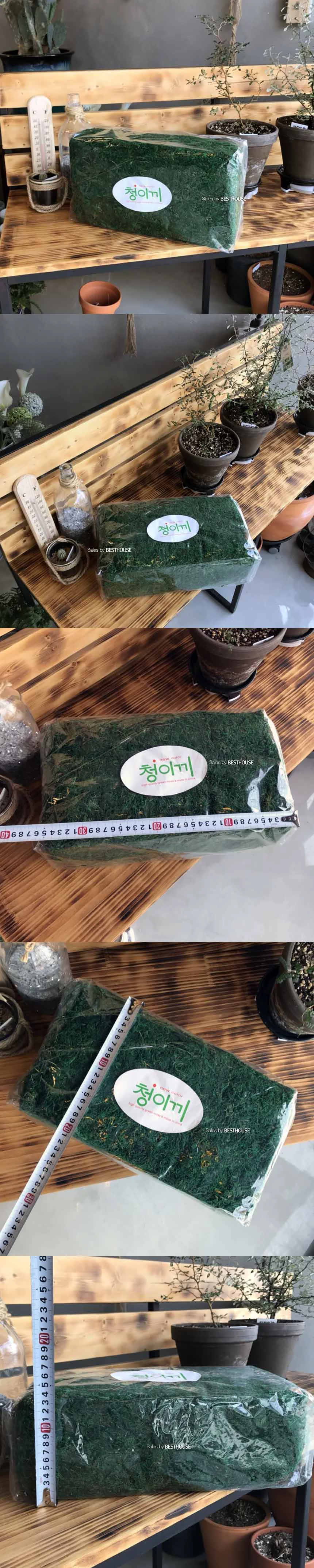 화분이끼 자연이끼 화분장식 화분 데코 청이끼 35x20x11 상세2