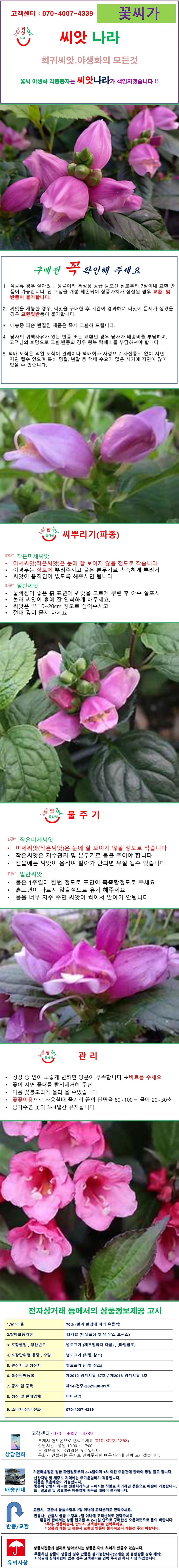 거북머리자라송이풀씨앗 8립 상세1