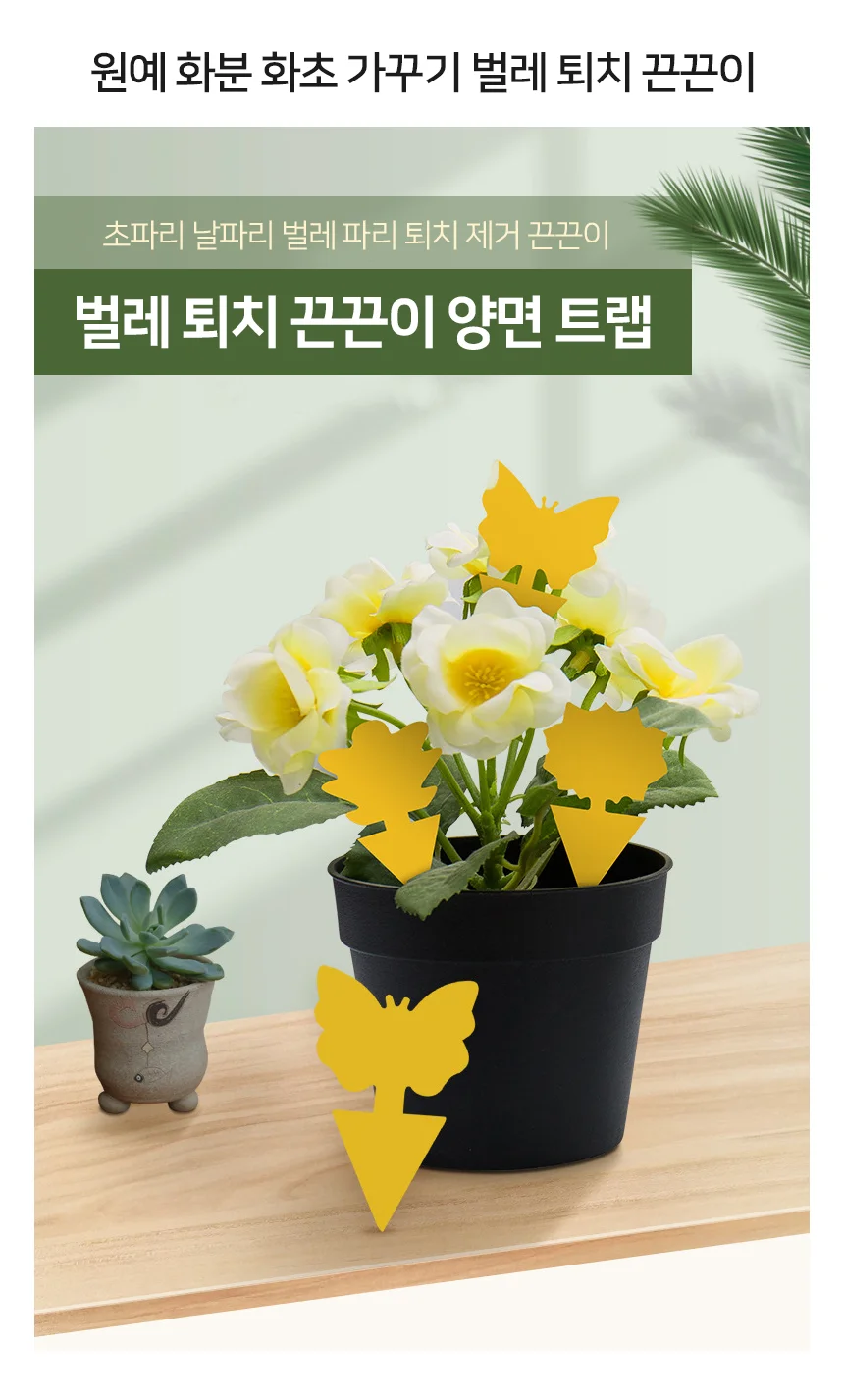 원예 화분 화초 벌레 끈끈이 파리트랩 초파리끈끈이 파리끈끈이 상세2