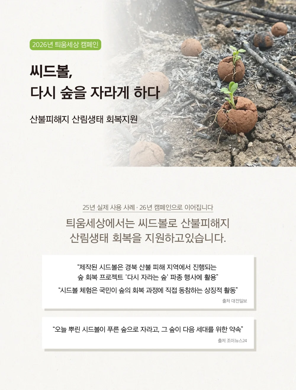 씨드볼 나팔꽃 식물재배기 시드볼 채소씨앗 씨드스틱 상세1