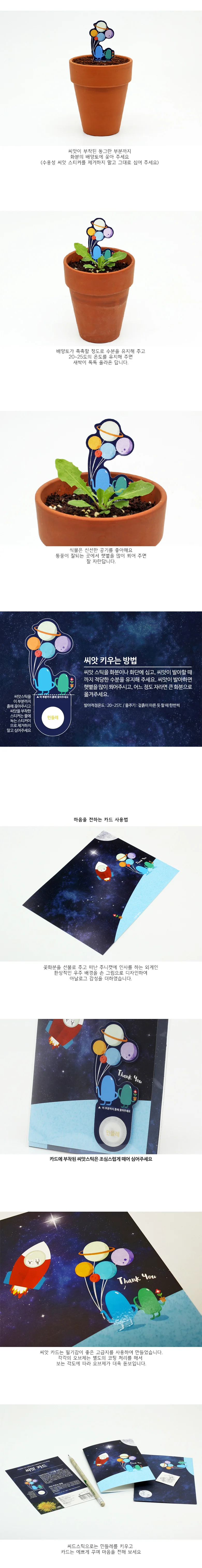 씨앗카드 민들레 씨앗봉투 채소키우기 식물팻말 씨앗선물 상세2