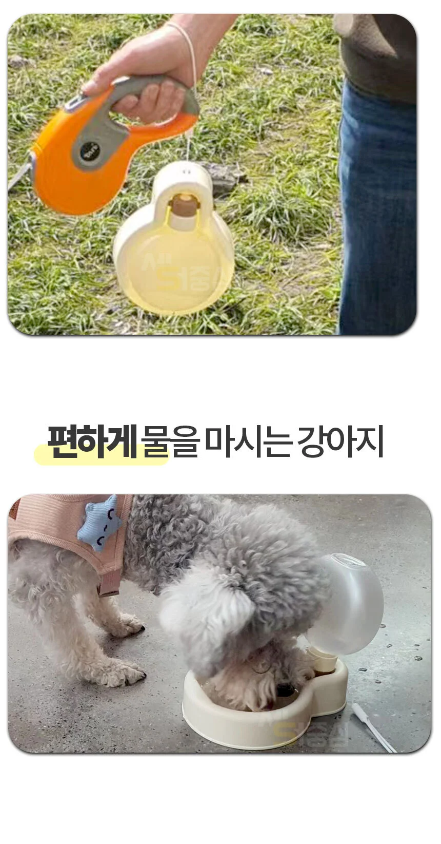 강아지 휴대용 물그릇 캠핑 산책 물병 애견식수대 접이식 물병 PE 상세5