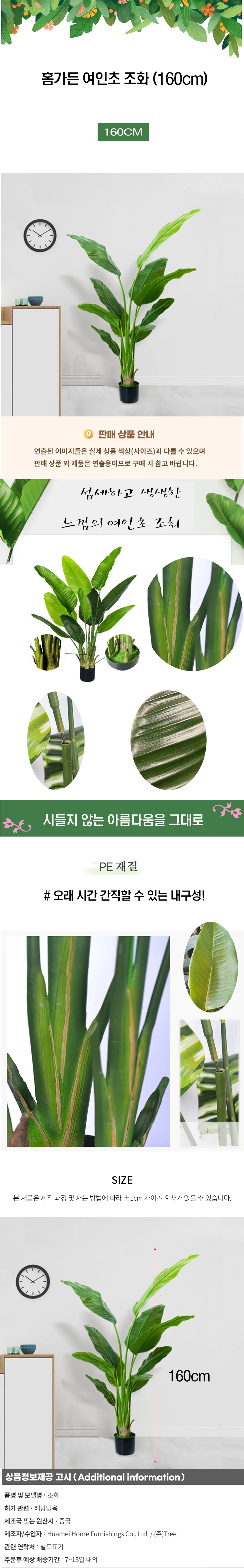 홈가든 여인초 조화 (160cm) 상세1