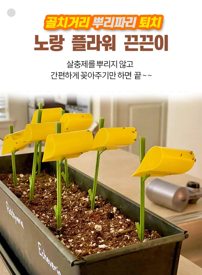 초파리 끈끈이 뿌리 트랩 날벌레 식물용 잡이 해충 실내 정원 포획기 상세1