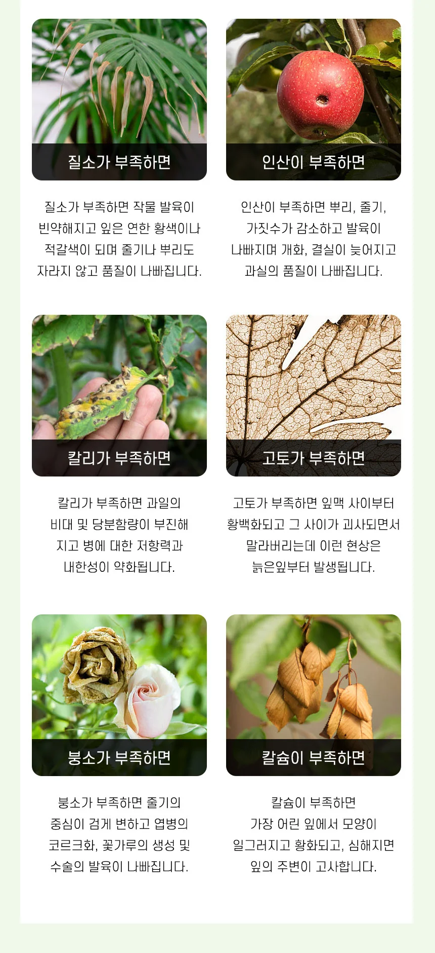 (영양제) 닥터조 케이코트 300g 상세5