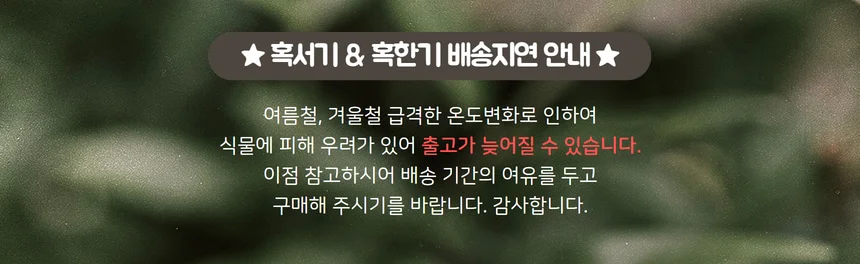 미니 다육이 키우기 토분 만들기 키트 취미 미술 공예 체험용 상세1