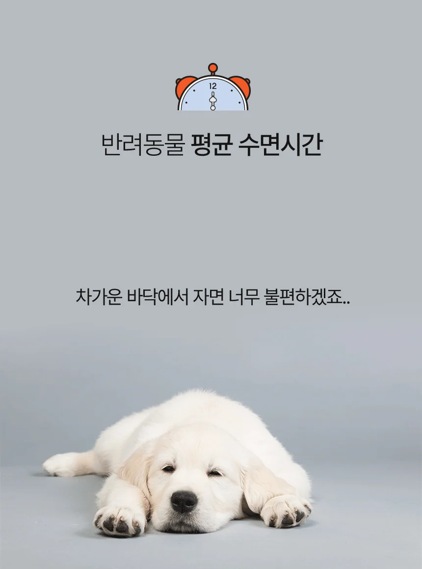 퍼피럽 강아지 극세사 쿠션 방석 블루 S SIZE 상세1