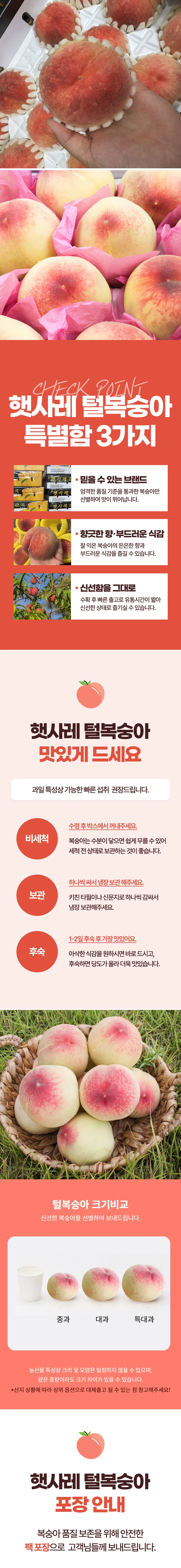 햇사레 백도복숭아 대과 2kg(8~9과 내외) 상세2