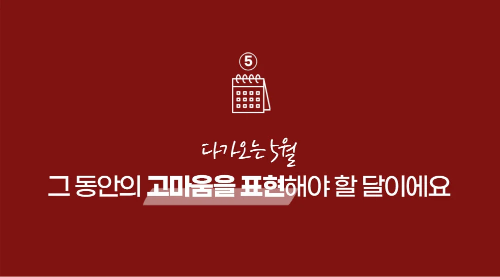 카네이션 브로치 부모님 선물 감사 행사 어버이날 스승의날 기념일용 가슴 코사지 상세3