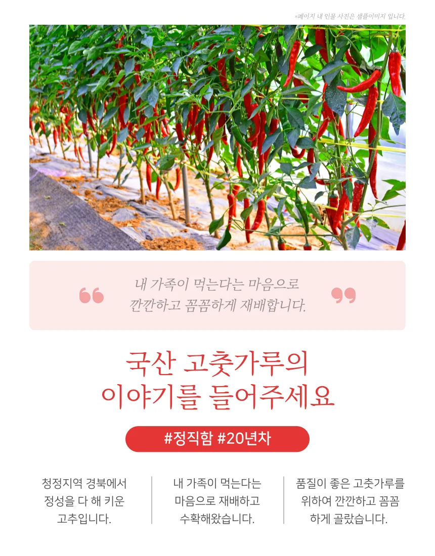 국내산 일품초 고춧가루 고움 안매움 600g 상세3