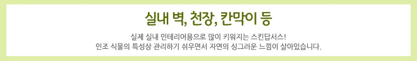 조화 넝쿨 12줄 스킨답서스 인테리어 2M 장식 식물 상세4