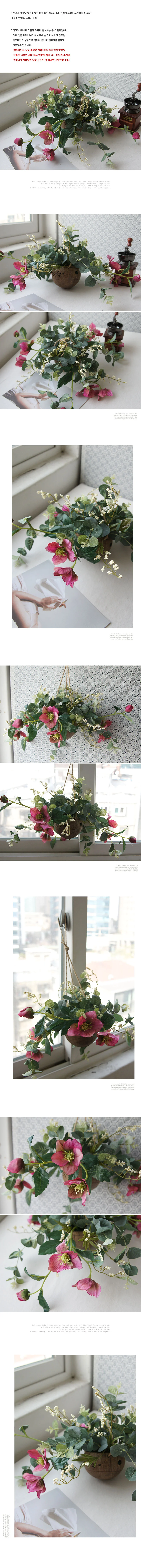 DIY 만들기 세트 야자박 인테리어 소품 재료 상세1