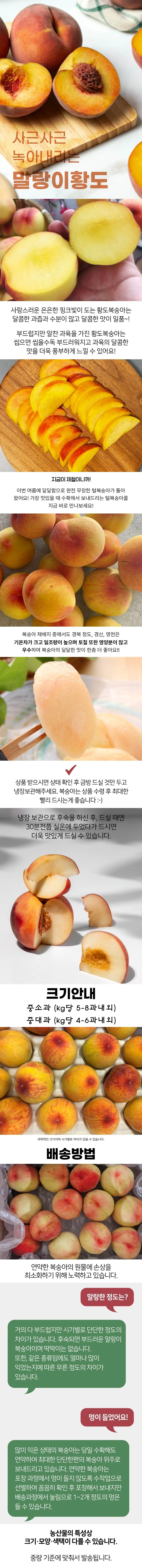 황도 복숭아 2kg 중소과 상세1