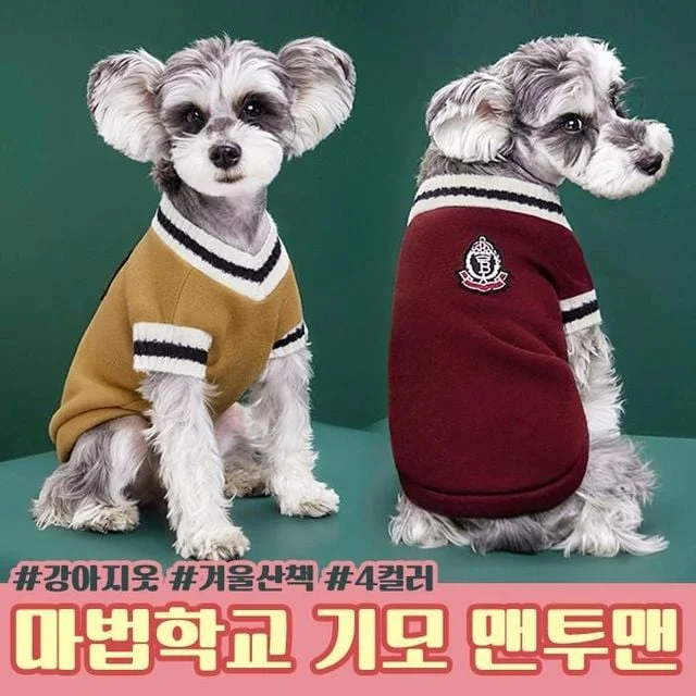 마법학교 강아지 겨울 산책 기모 맨투맨 반려견 옷