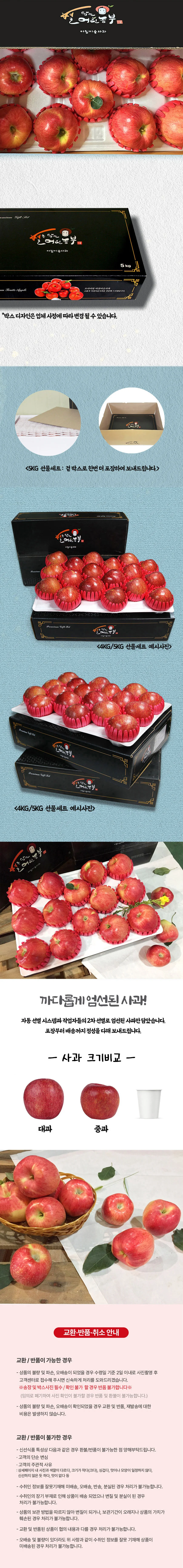 홍로사과 선물세트 3kg 대과 (9과내외) 상세2