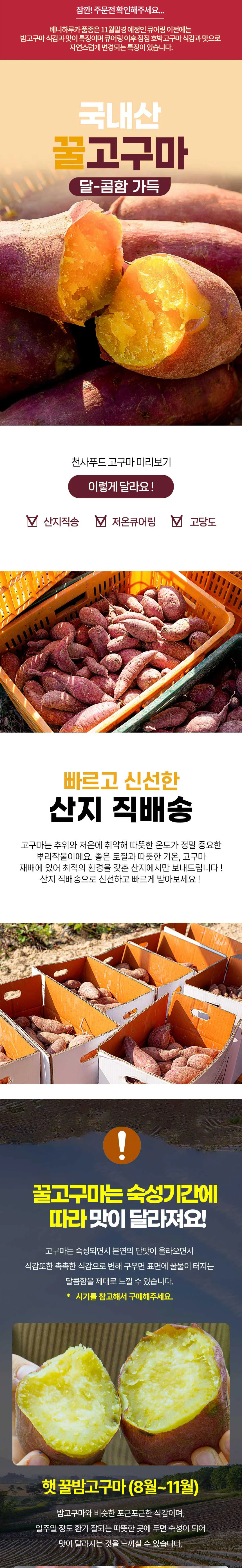 해남 저온큐어링 고당도 세척 꿀고구마 10kg 대 상세1
