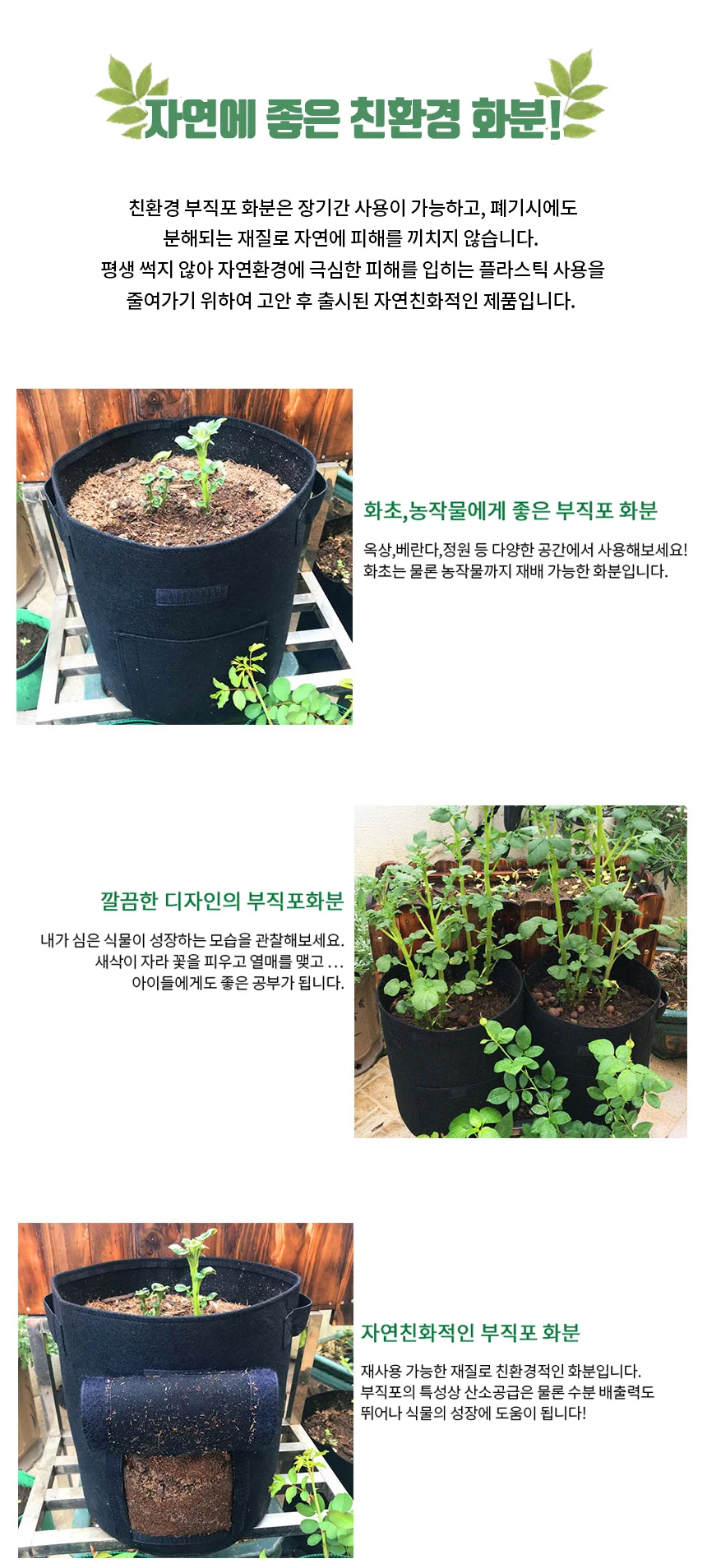 화분 L 블랙 농사체험화분 감자재배화분 상세3