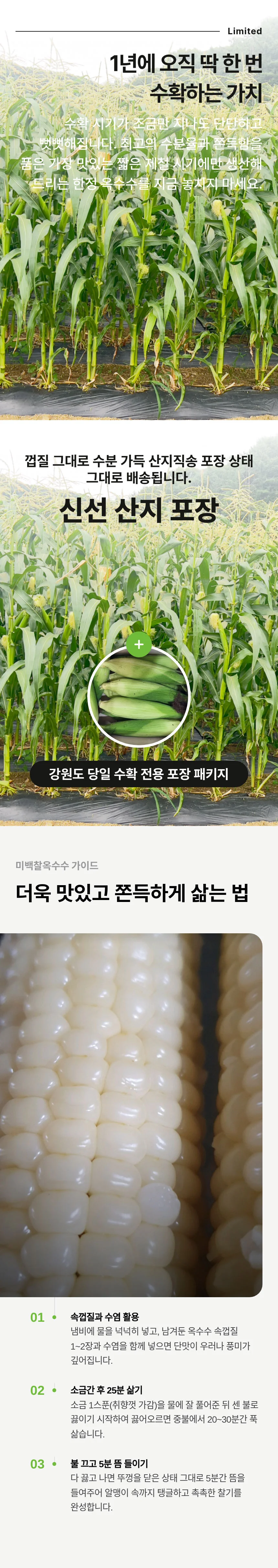 강원도 미백 찰옥수수 특품 20개입 (16 22cm 내외) 상세4