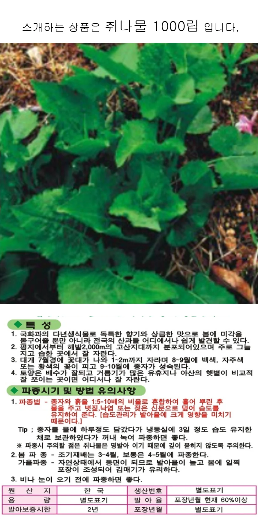 국산 취나물 식물 씨앗 품종 종자 1000립 상세1