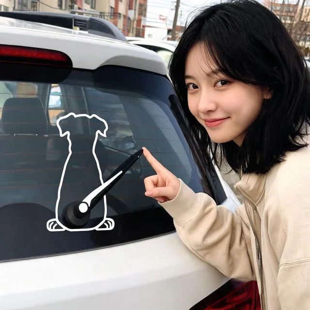 와이퍼 스티커 자동차 앞유리 부착용 데칼 튜닝 드레스업 외장 액세서리