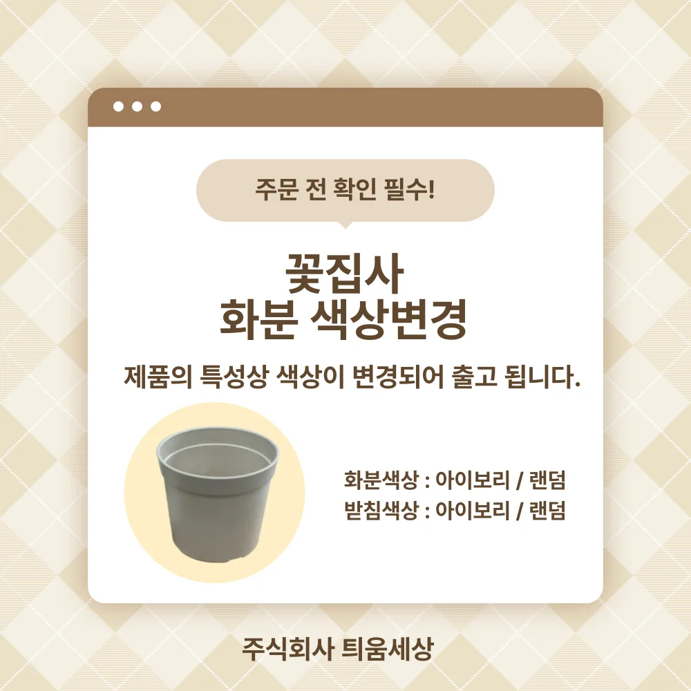레몬밤 키우기세트 화분만들기키트 씨앗키트 원예키트 식물키트 상세1