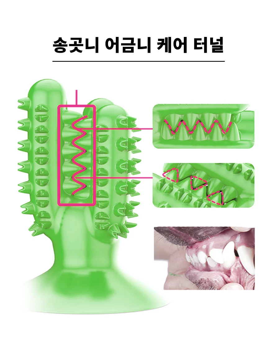 강아지 선인장 셀프 칫솔 양치 치석제거 장난감 상세4