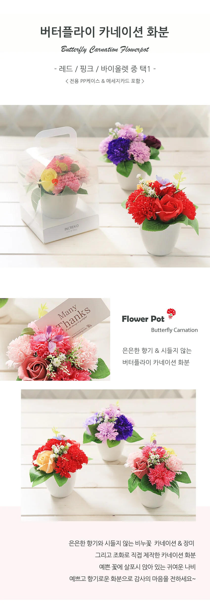 나비 비누꽃 카네이션 화분 핑크 어버이날 상세2