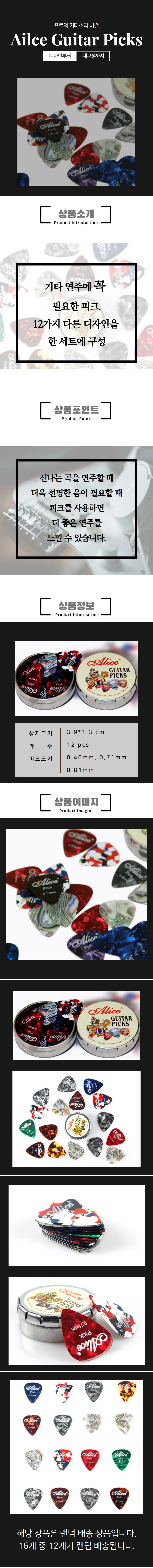 어쿠스틱 일렉트릭 기타 12개 구성 보관 케이스 포함 상세3