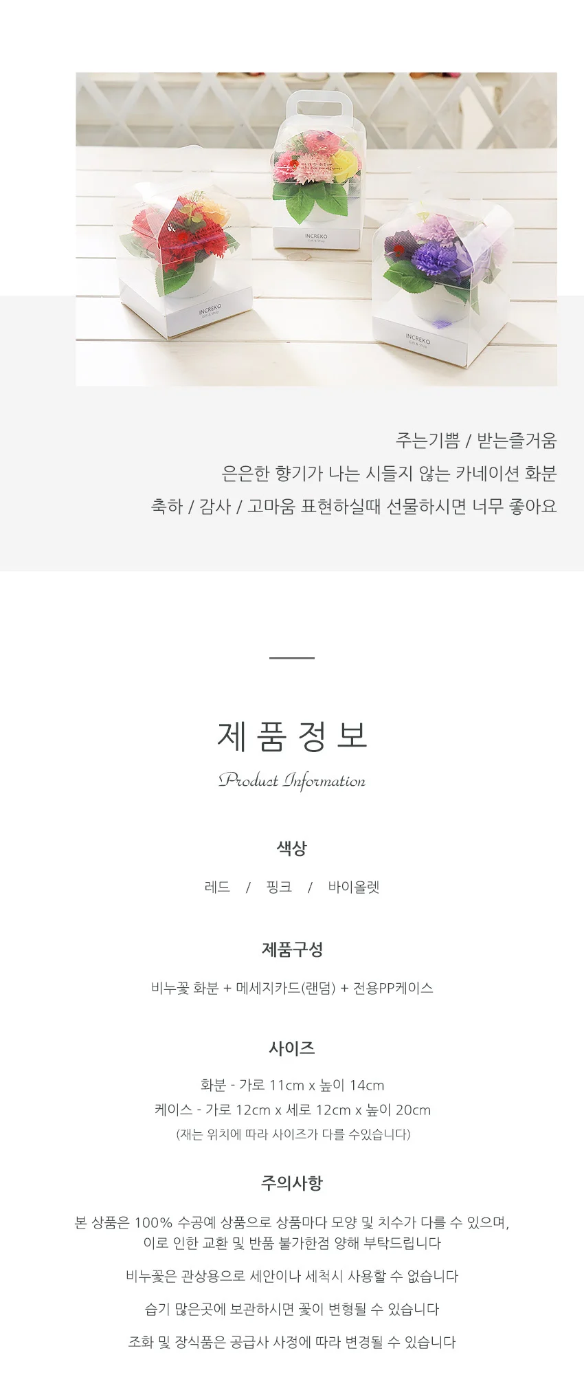 나비 비누꽃 카네이션 화분 핑크 어버이날 상세4
