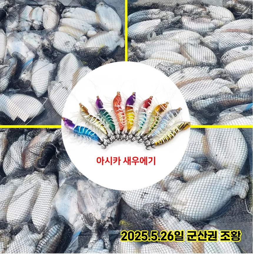 UST 더리얼 찐찐 새우에기 수평에기 UV 야광 쭈갑 문어 래틀에기 상세5