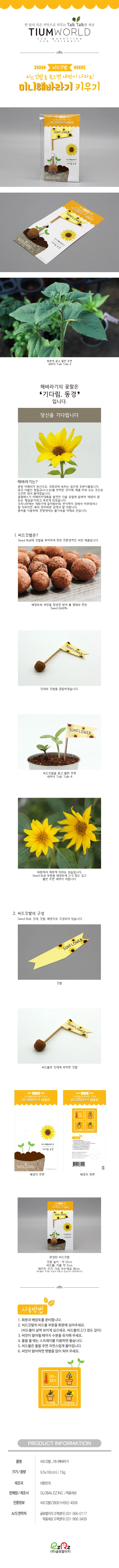 뚝딱 틔움 식물키우기 씨드 패키지 깃발 교구 재료 상세4