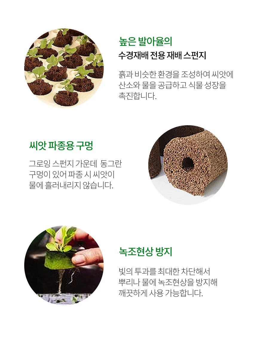 그로잉 스펀지(1P) 상세2