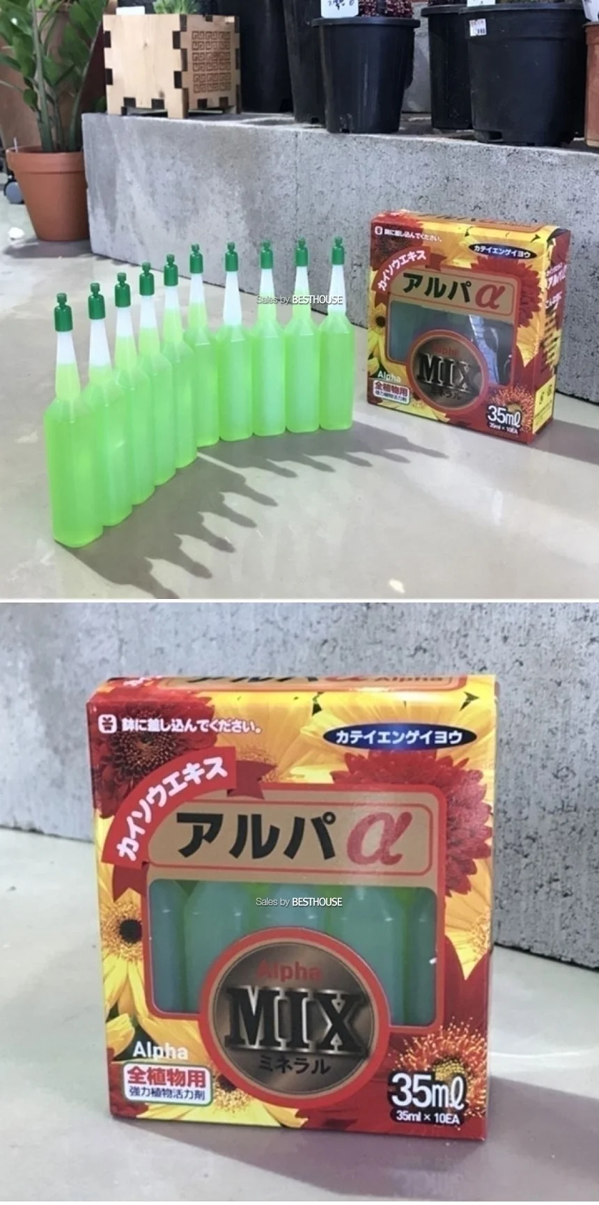 액체비료 식물영양제 다육 화초 소나무 앰플 10p 상세4