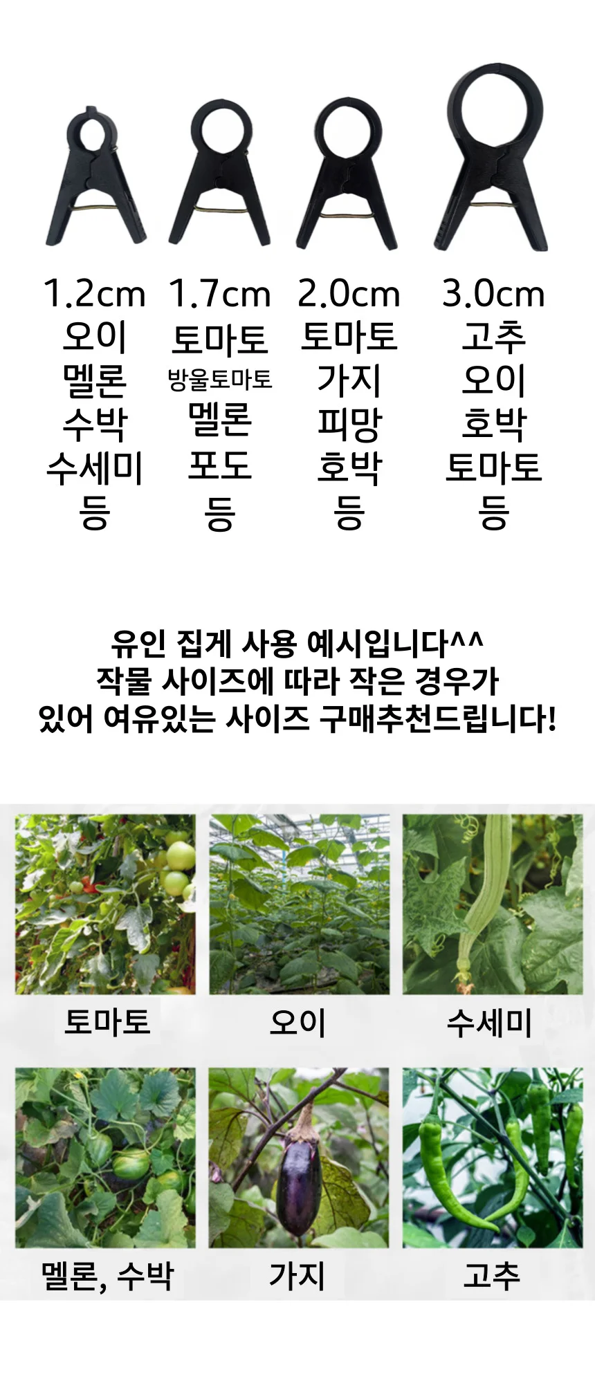 2.0cm 고추집게 오이 토마토 가지 피망 호박 유인집게 상세2