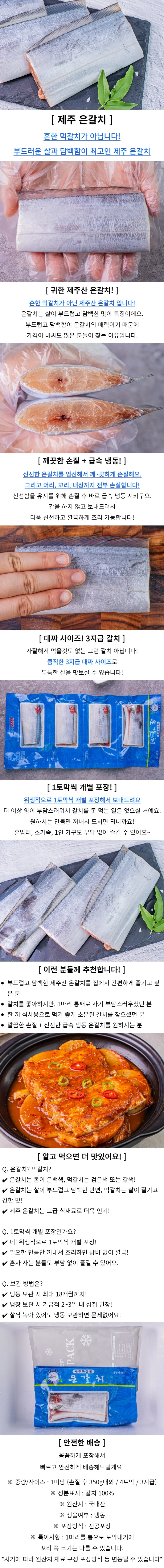 제주 은갈치 2미 대 손질갈치 상세1