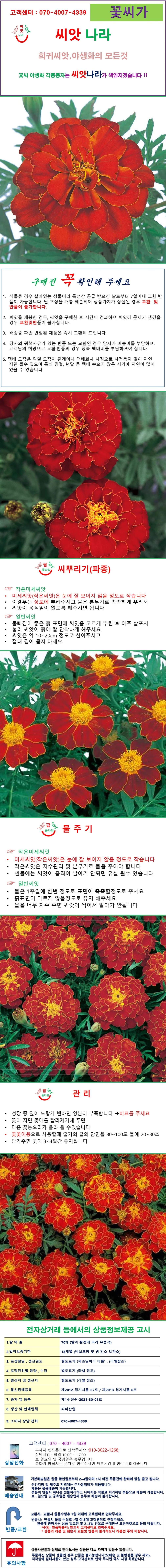 프렌치메리골드 다크레드 10 립 상세1