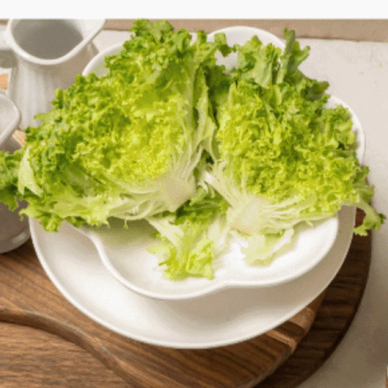 샐러드 국산 유러피언 청정 스마트팜 랜덤 3kg 상세2