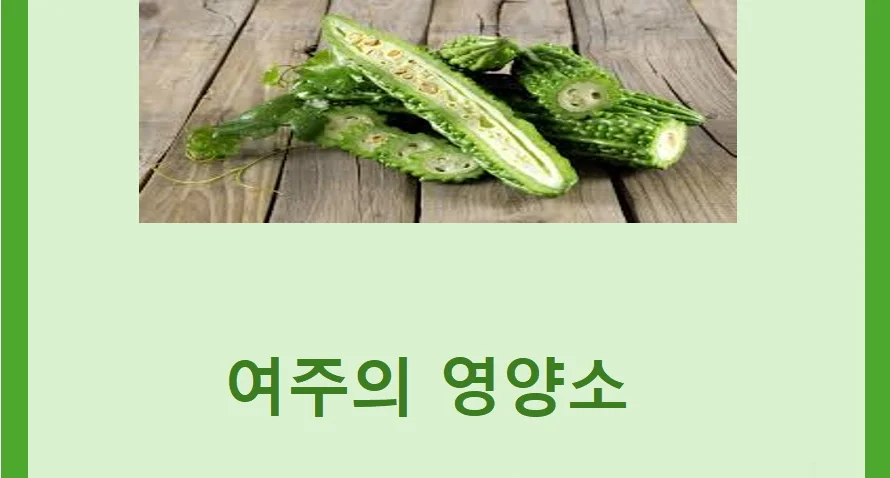 국내산 발효 여주환 500g 상세2