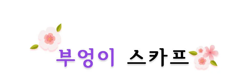 최저가 부엉이스카프 쉬폰스카프 머플러 상세1