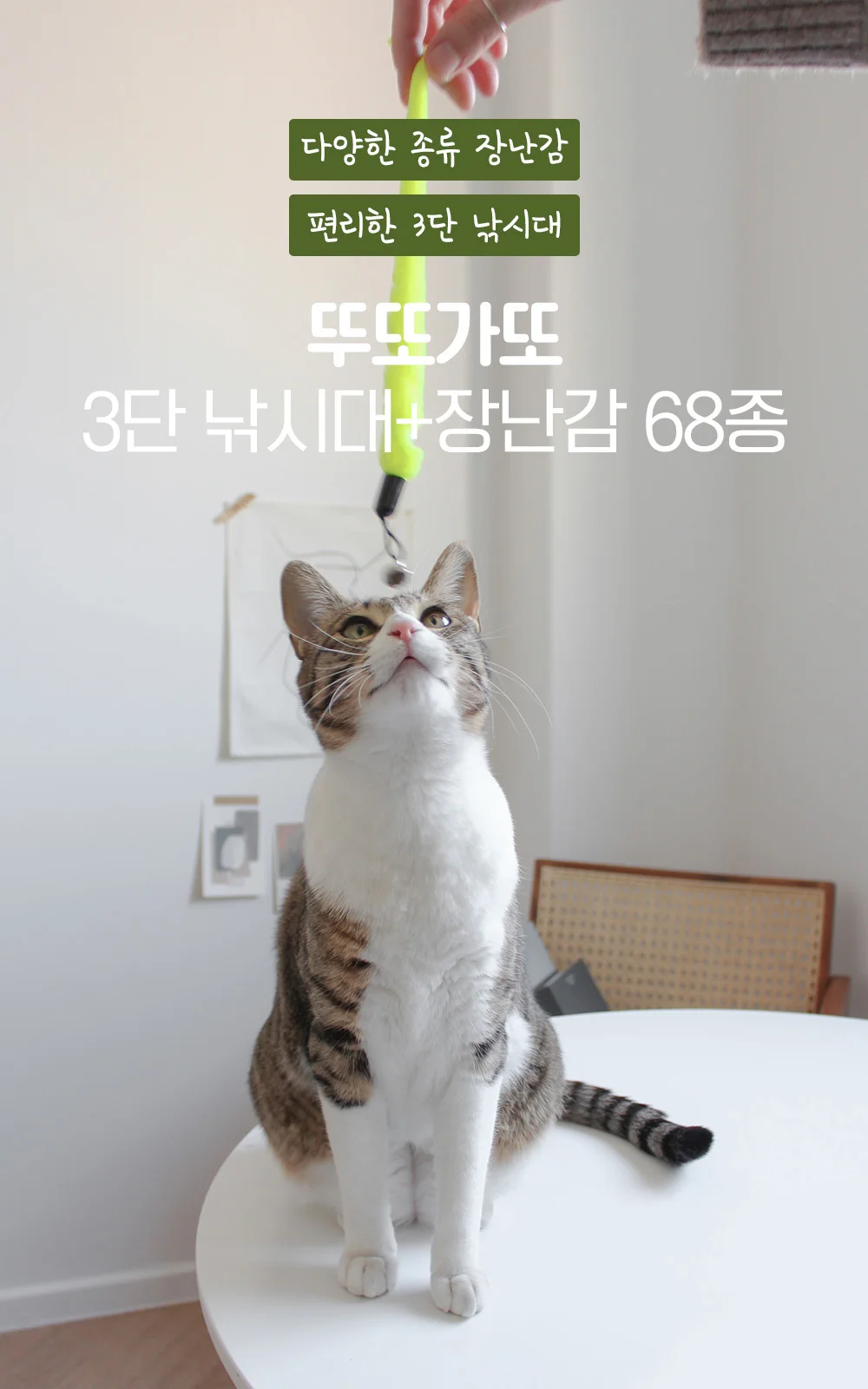 고양이 장난감 3단 2.6미터 낚시대/깃털/68종/균일가 상세5