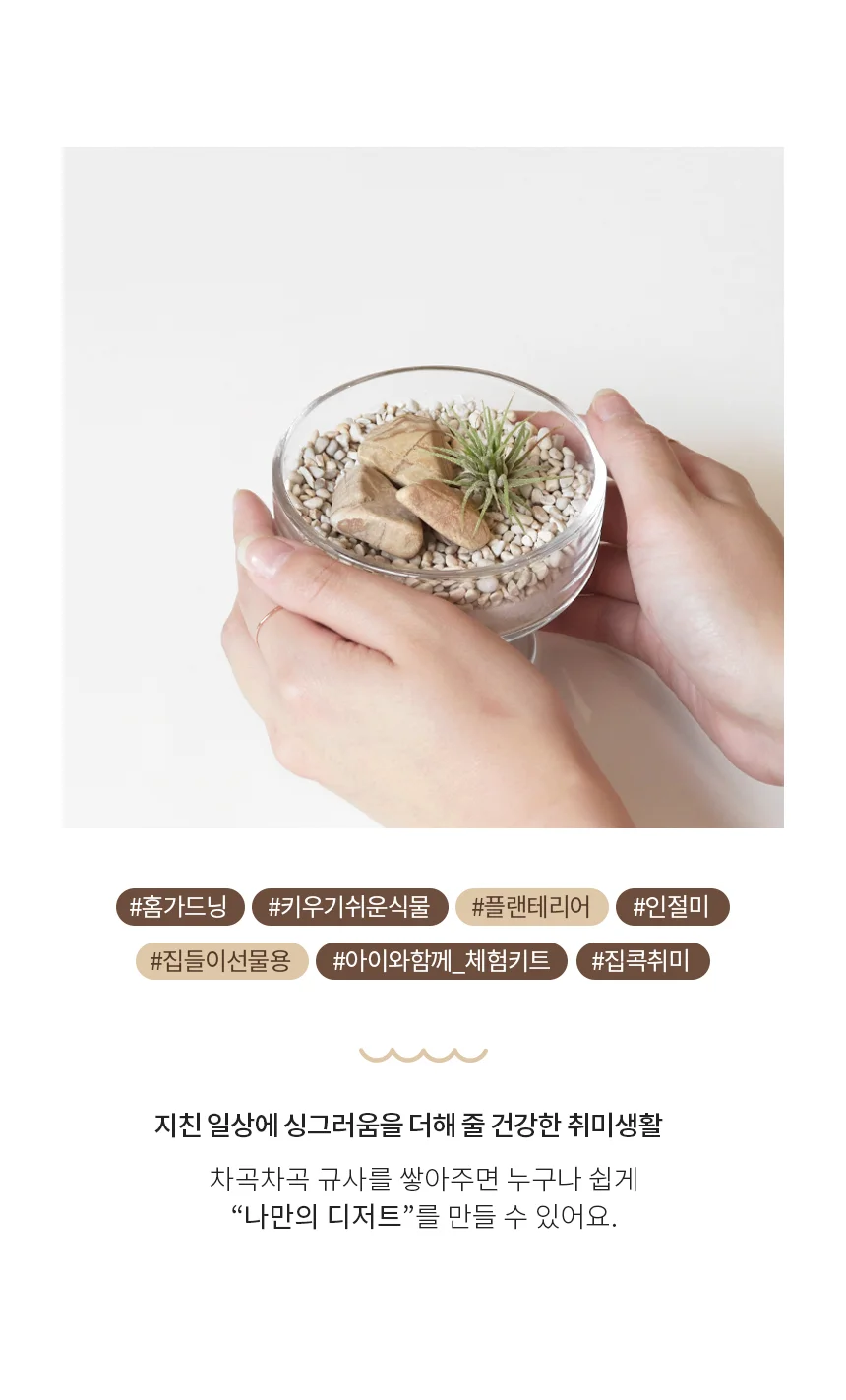 이오난사 테라리움 키트 디저트_인절미 상세2